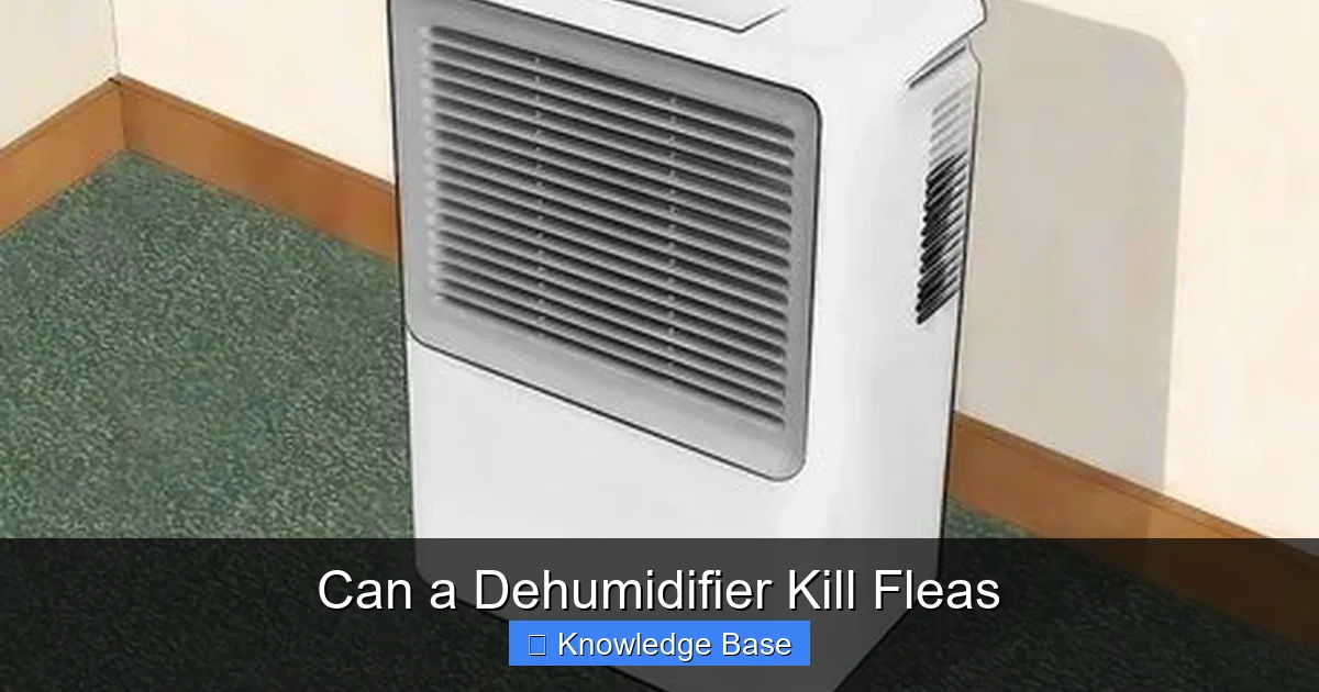 Can a Dehumidifier Kill Fleas