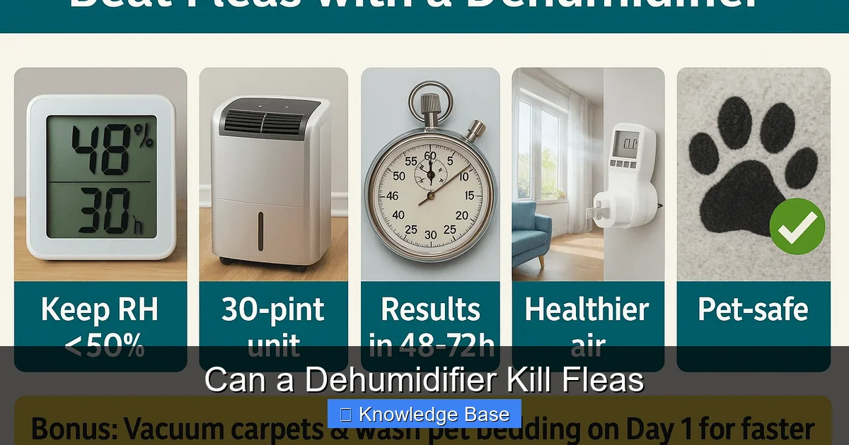 Can a Dehumidifier Kill Fleas