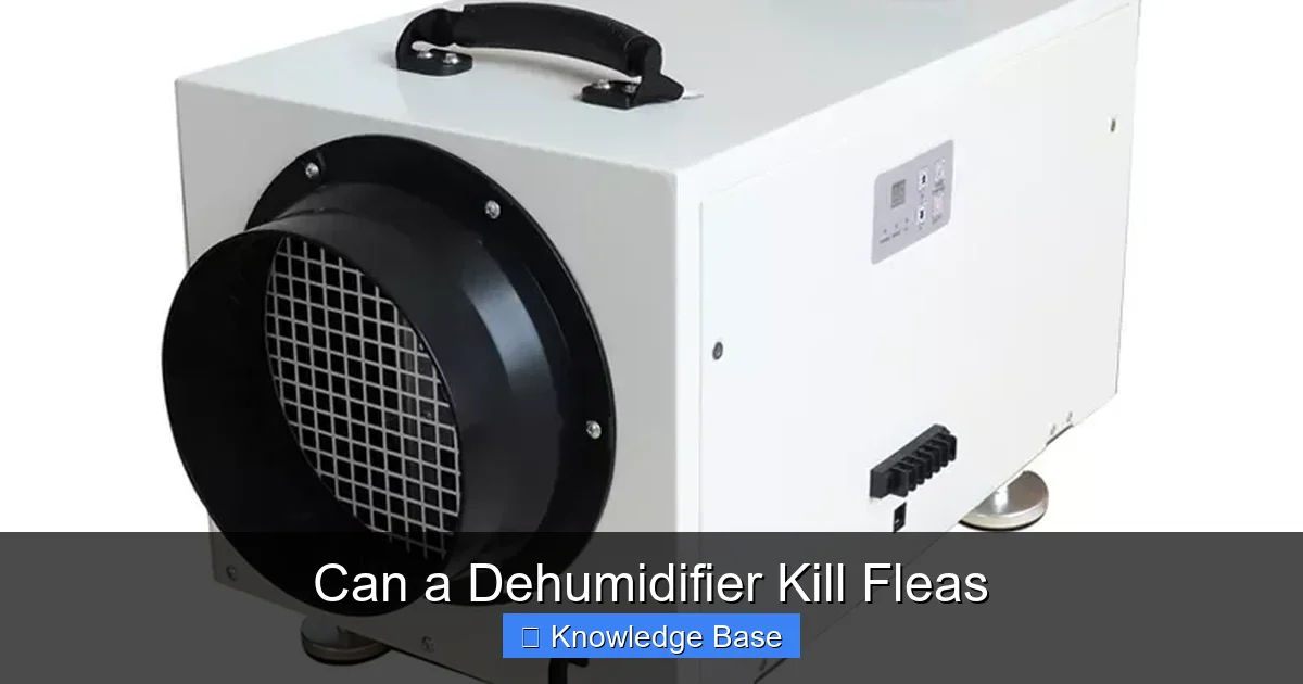 Can a Dehumidifier Kill Fleas