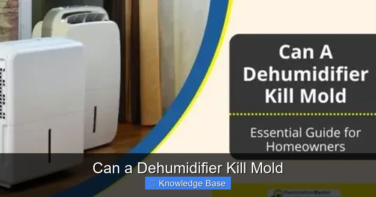 Can a Dehumidifier Kill Mold