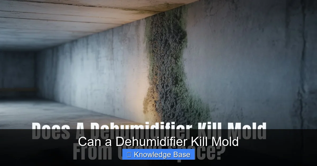 Can a Dehumidifier Kill Mold