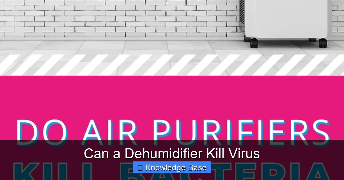 Can a Dehumidifier Kill Virus