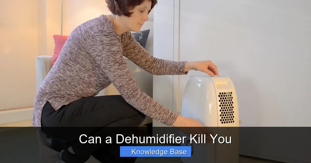 Can a Dehumidifier Kill You