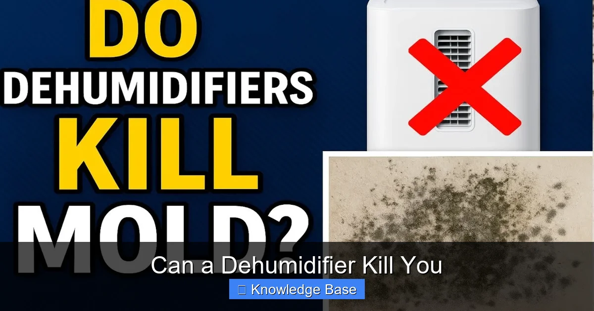 Can a Dehumidifier Kill You