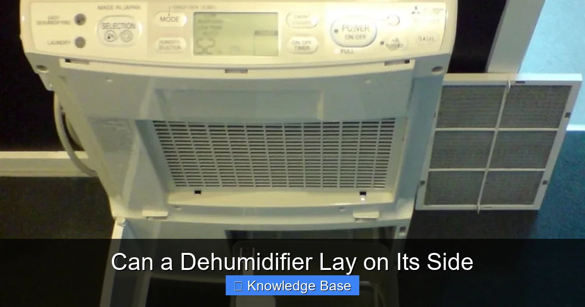 Can a Dehumidifier Lay on Its Side