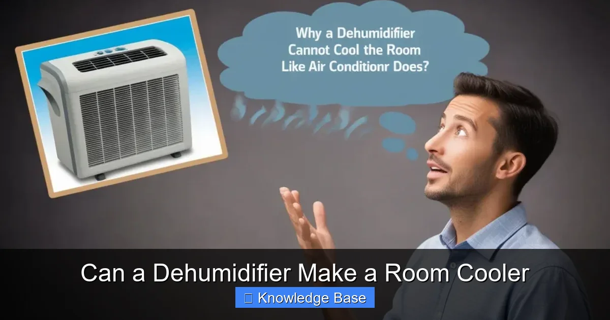 Can a Dehumidifier Make a Room Cooler
