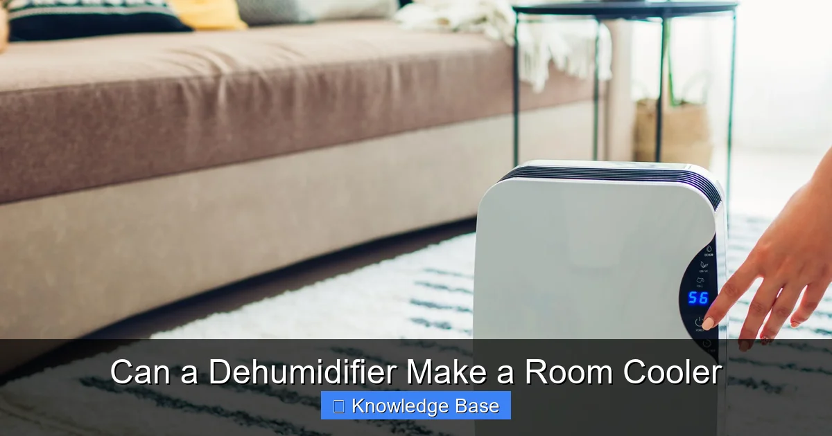 Can a Dehumidifier Make a Room Cooler