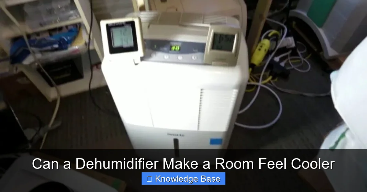 Can a Dehumidifier Make a Room Feel Cooler