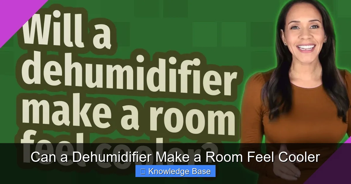 Can a Dehumidifier Make a Room Feel Cooler