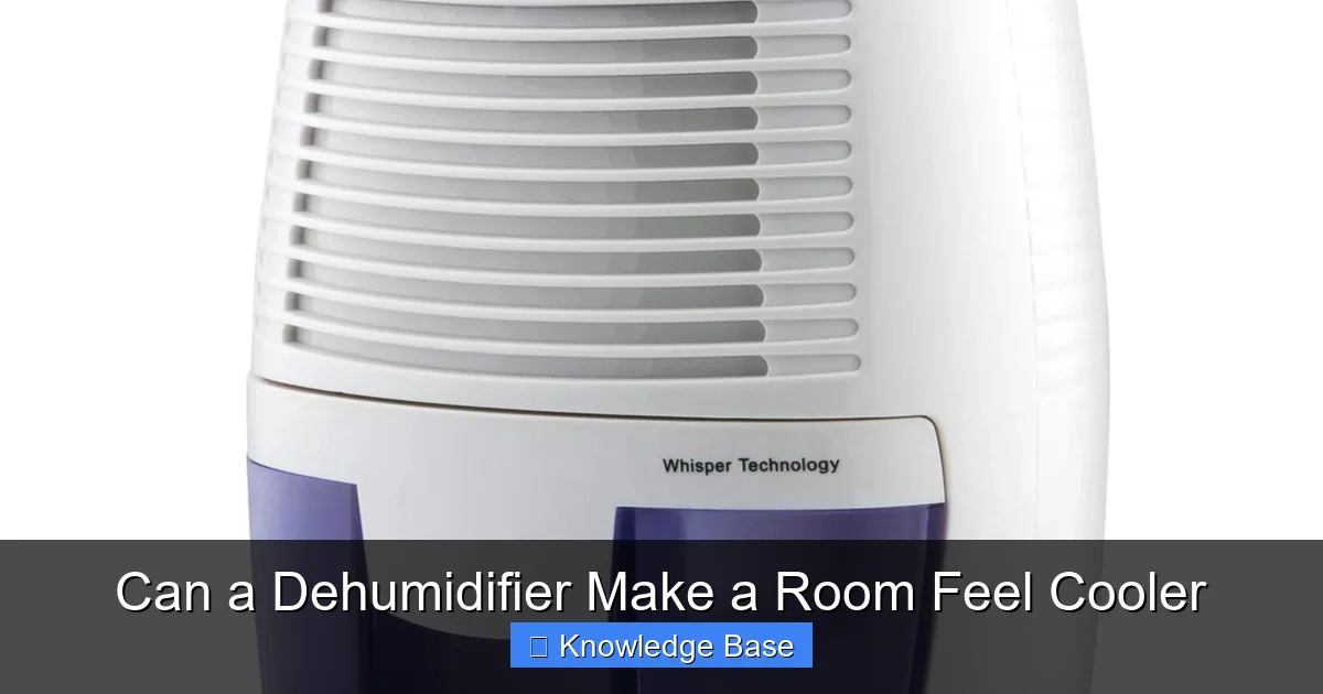 Can a Dehumidifier Make a Room Feel Cooler