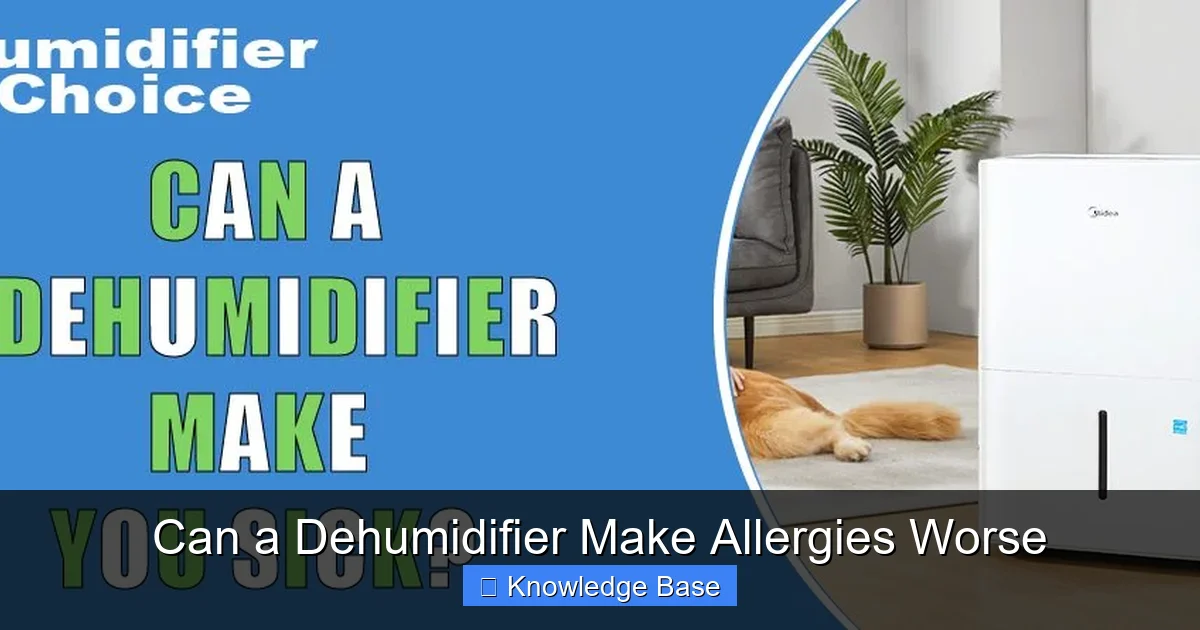 Can a Dehumidifier Make Allergies Worse
