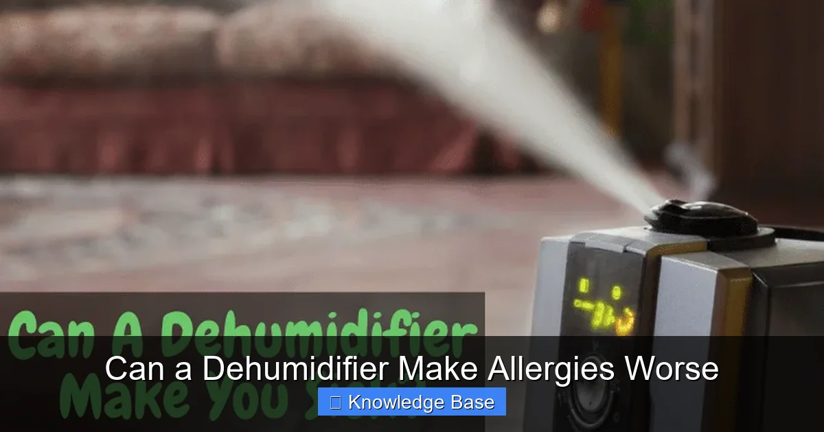 Can a Dehumidifier Make Allergies Worse