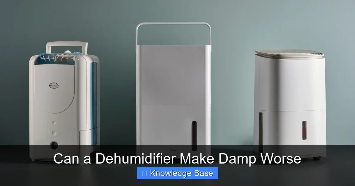 Can a Dehumidifier Make Damp Worse