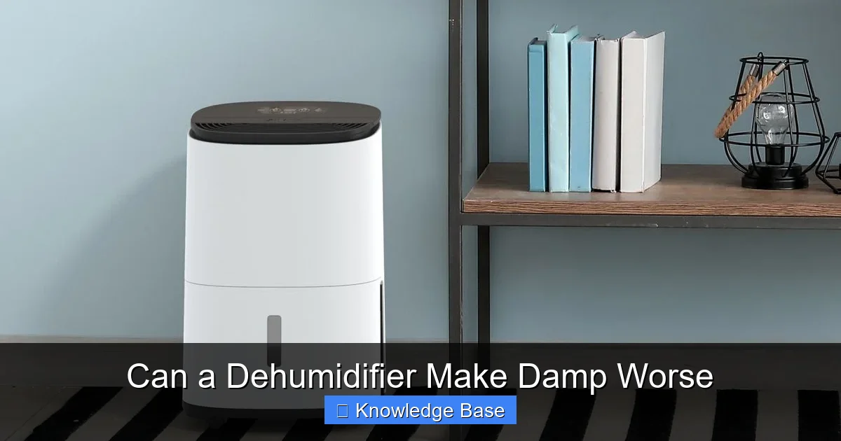 Can a Dehumidifier Make Damp Worse