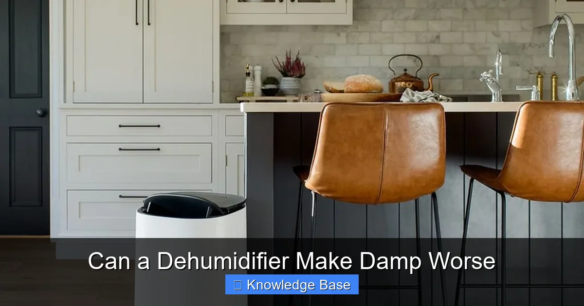 Can a Dehumidifier Make Damp Worse