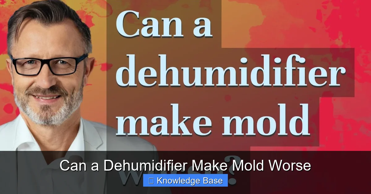 Can a Dehumidifier Make Mold Worse