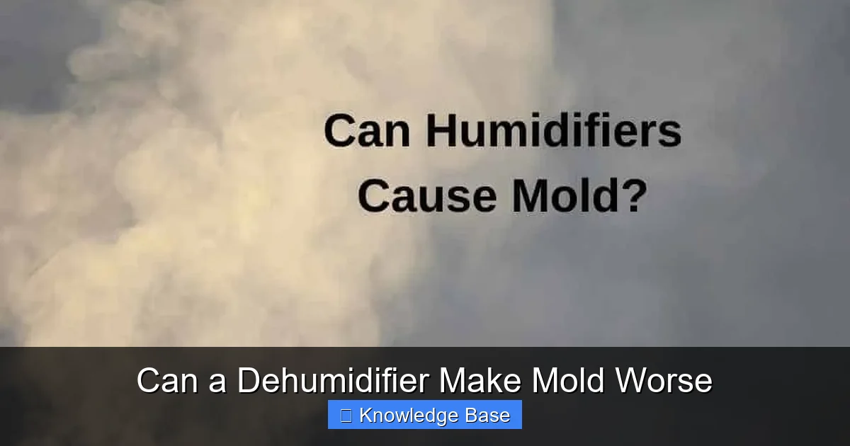 Can a Dehumidifier Make Mold Worse