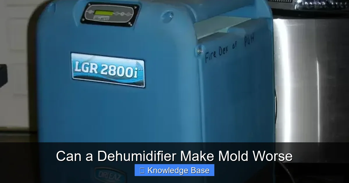 Can a Dehumidifier Make Mold Worse