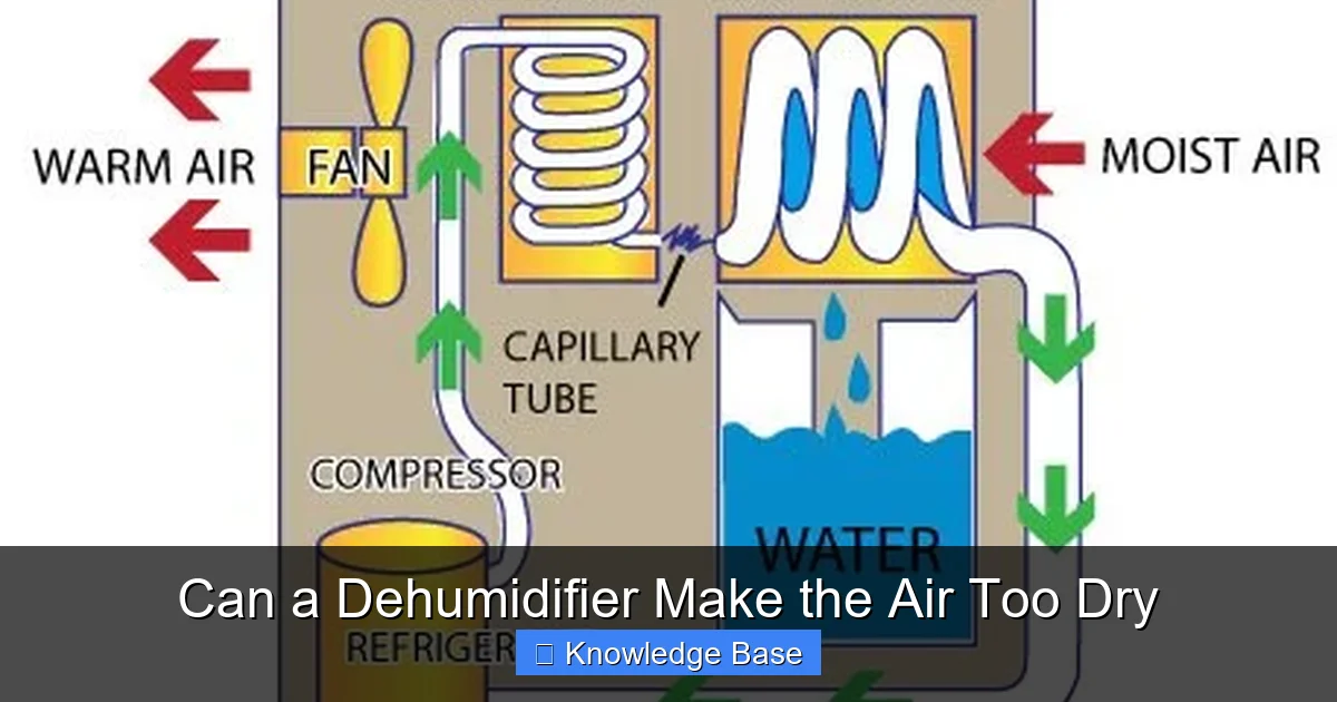 Can a Dehumidifier Make the Air Too Dry