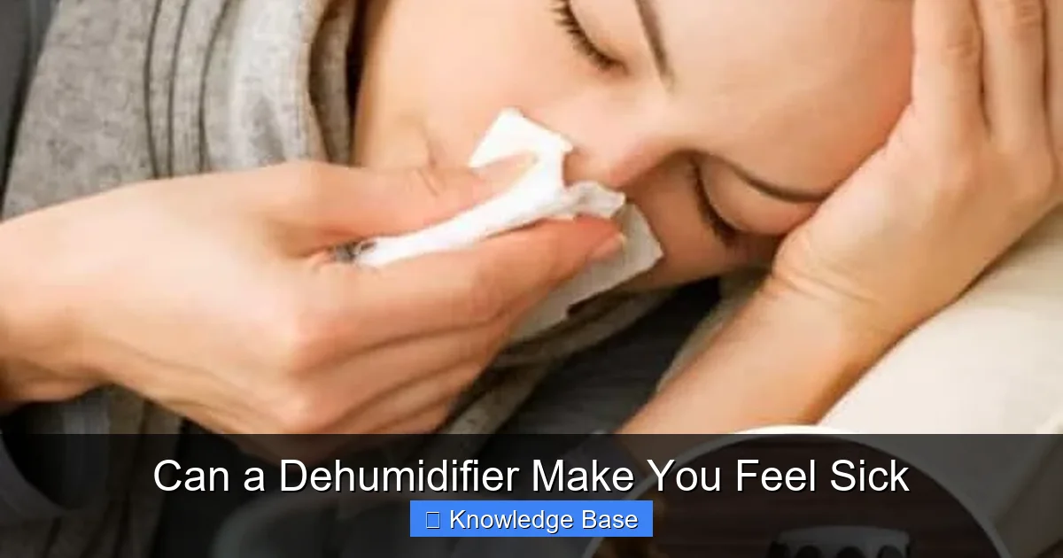Can a Dehumidifier Make You Feel Sick