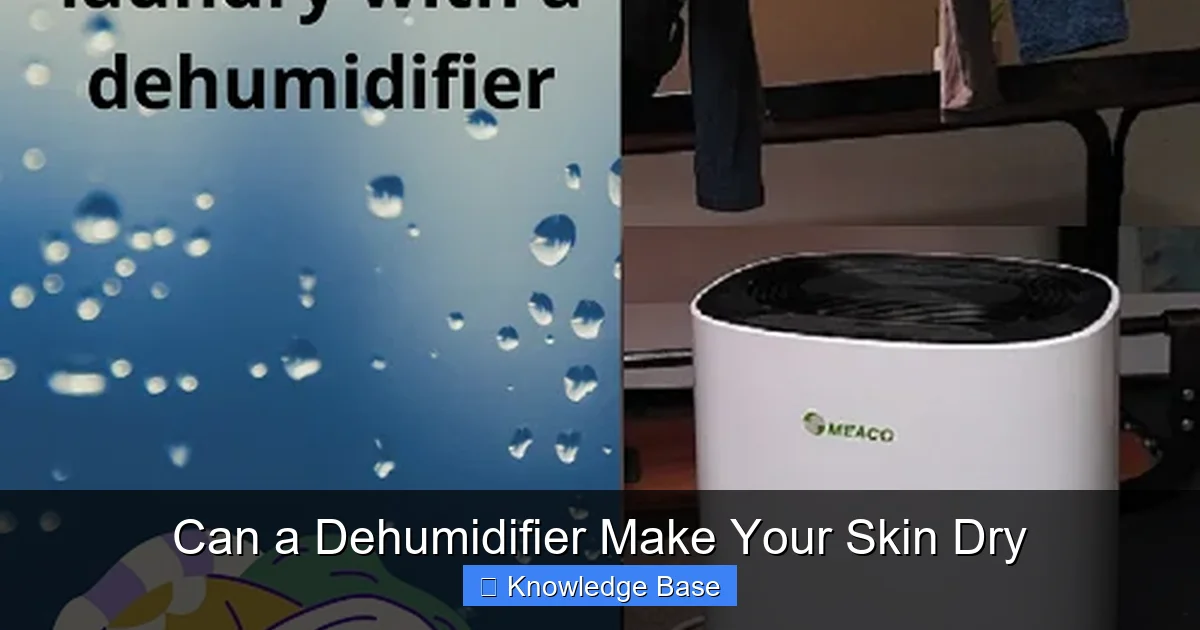 Can a Dehumidifier Make Your Skin Dry