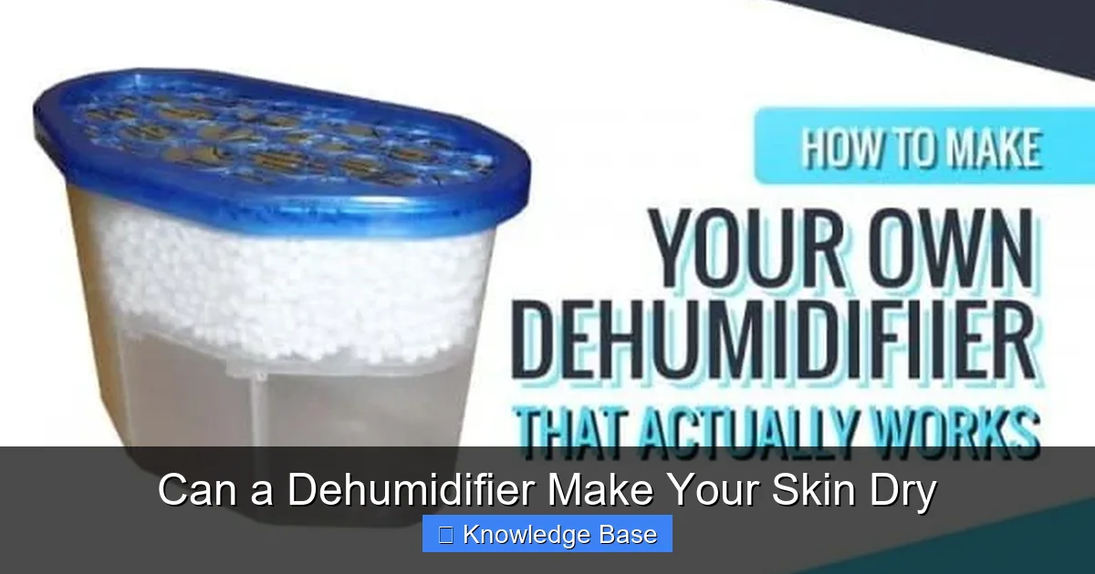 Can a Dehumidifier Make Your Skin Dry
