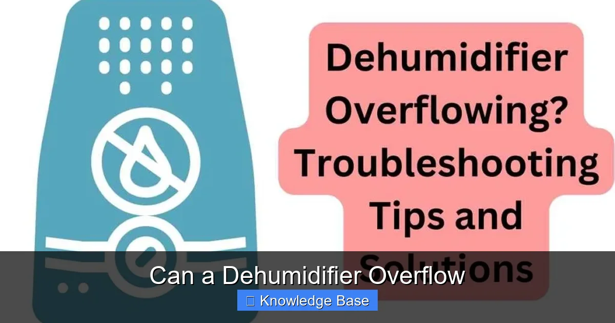 Can a Dehumidifier Overflow
