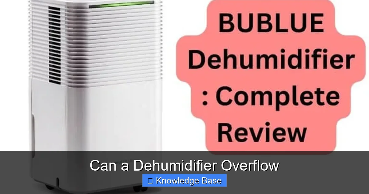 Can a Dehumidifier Overflow