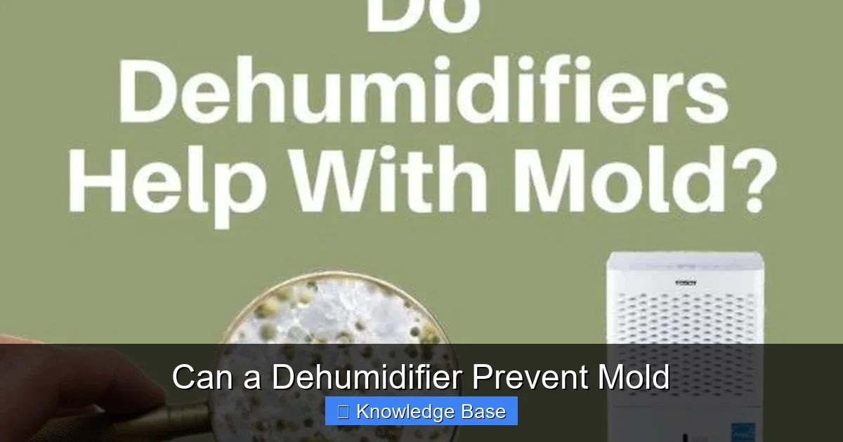 Can a Dehumidifier Prevent Mold