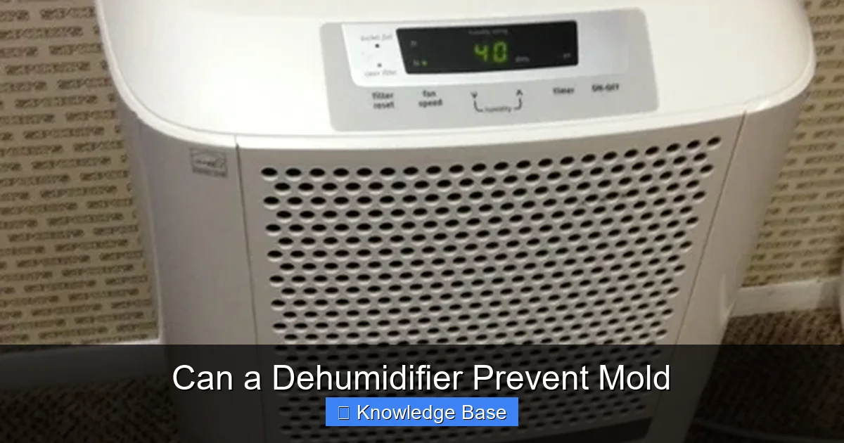 Can a Dehumidifier Prevent Mold