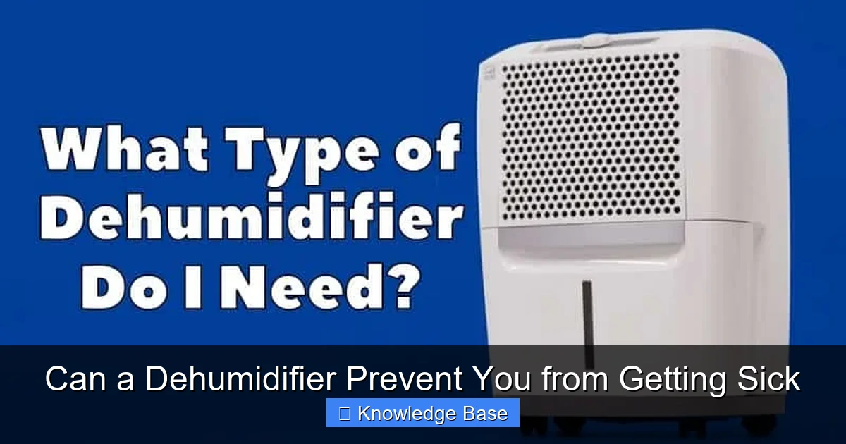 Can a Dehumidifier Prevent You from Getting Sick
