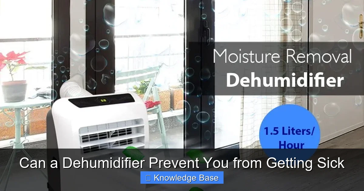 Can a Dehumidifier Prevent You from Getting Sick