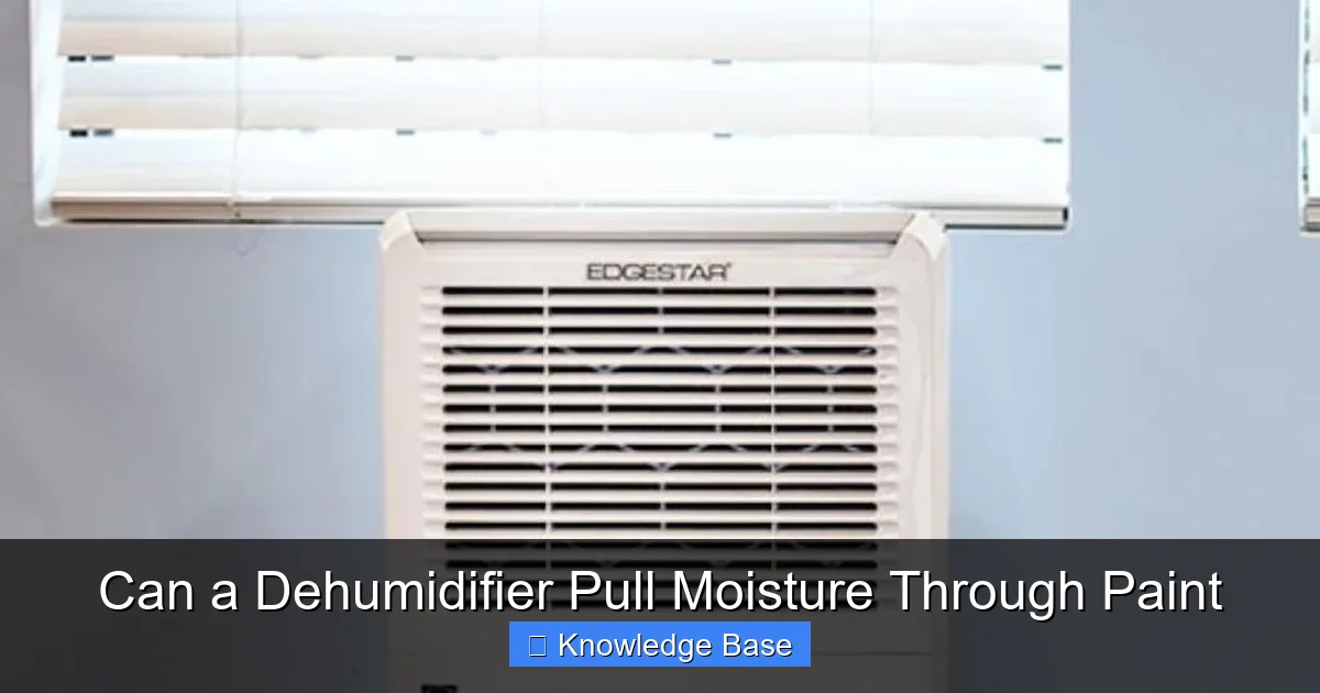 Can a Dehumidifier Pull Moisture Through Paint