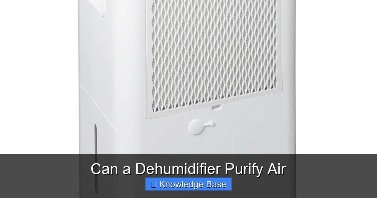 Can a Dehumidifier Purify Air