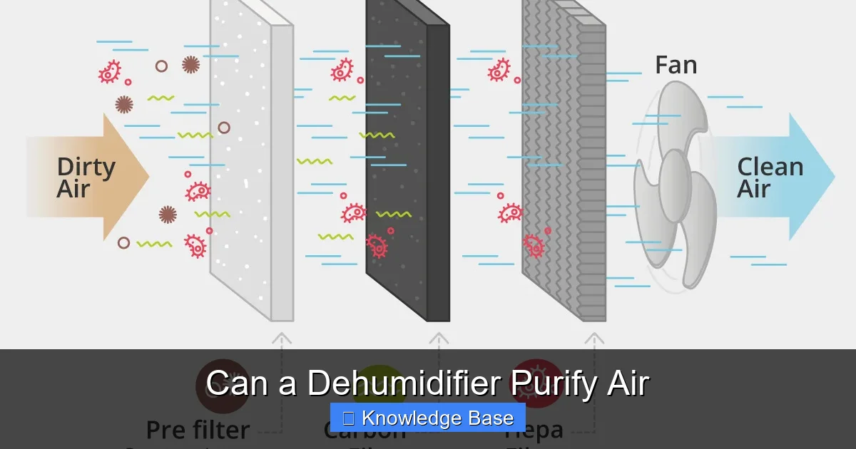 Can a Dehumidifier Purify Air