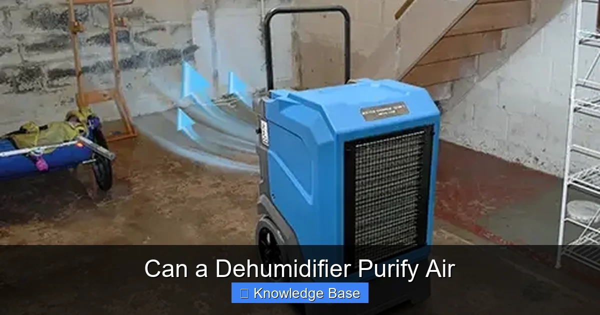 Can a Dehumidifier Purify Air