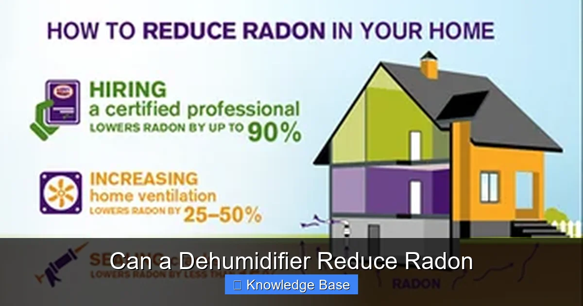 Can a Dehumidifier Reduce Radon