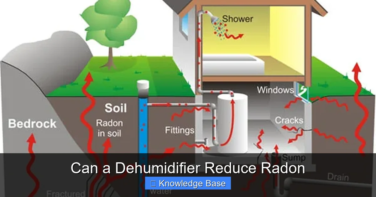 Can a Dehumidifier Reduce Radon