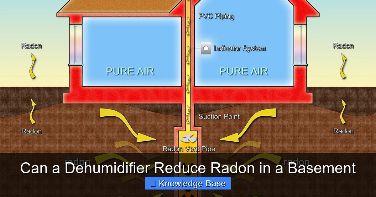 Can a Dehumidifier Reduce Radon in a Basement