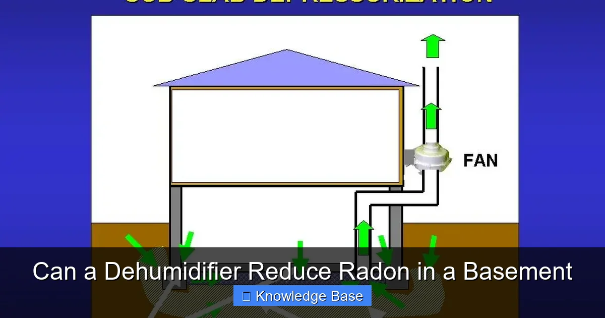 Can a Dehumidifier Reduce Radon in a Basement