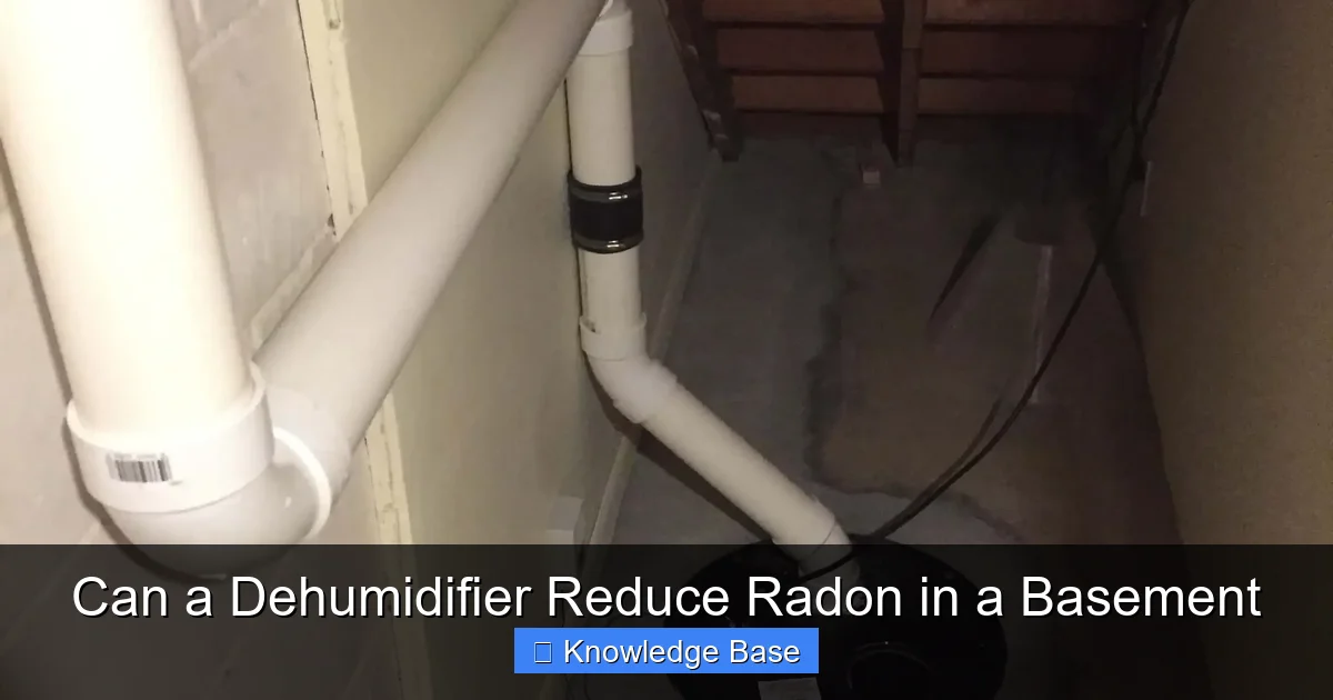 Can a Dehumidifier Reduce Radon in a Basement