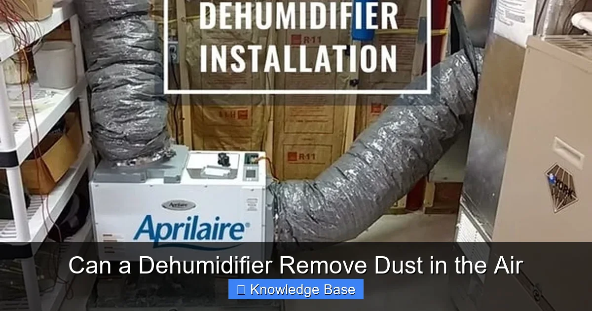 Can a Dehumidifier Remove Dust in the Air