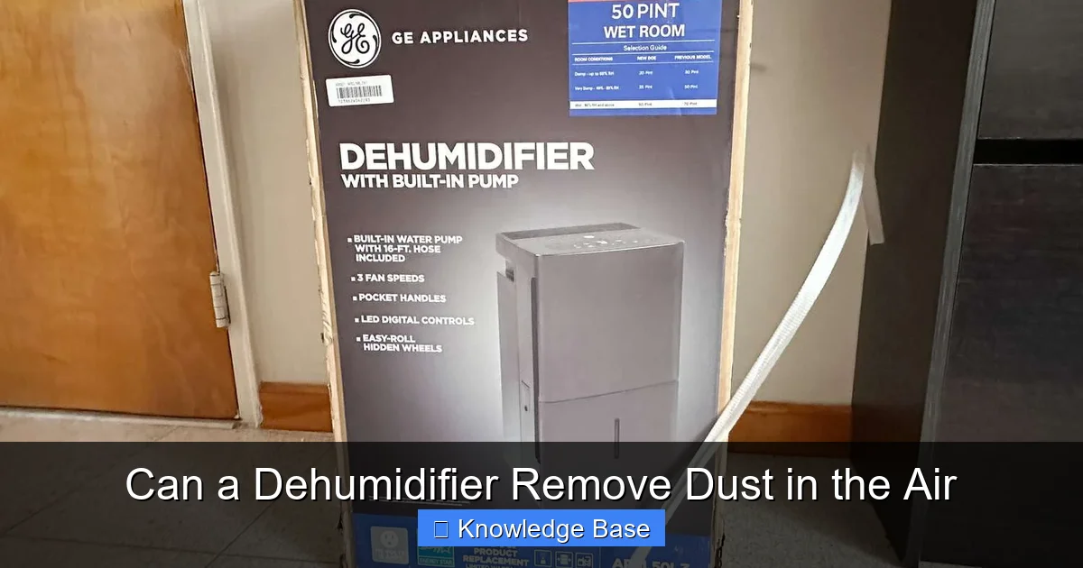 Can a Dehumidifier Remove Dust in the Air
