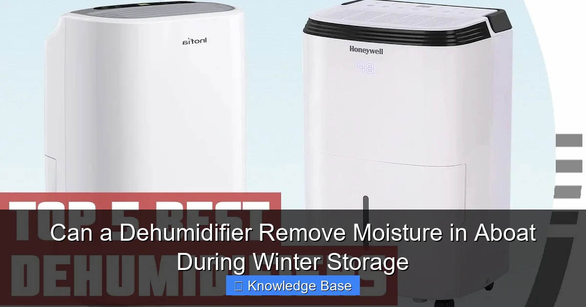 Can a Dehumidifier Remove Moisture in Aboat During Winter Storage