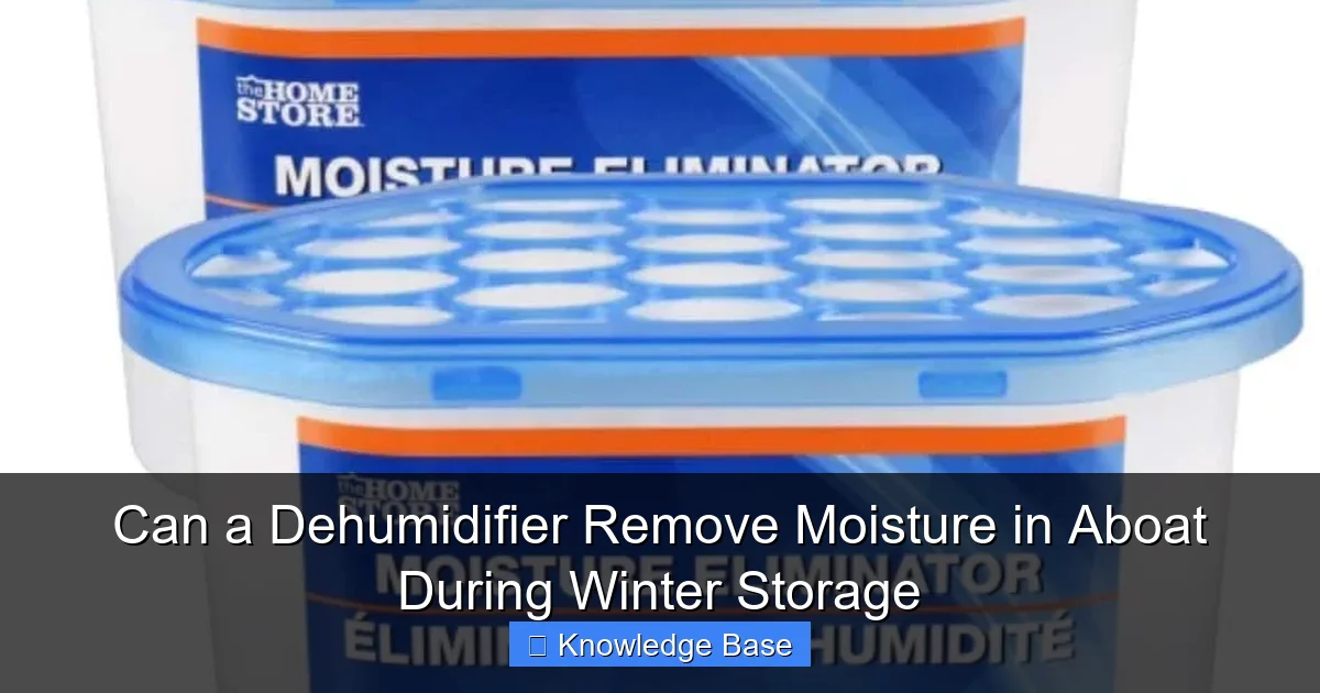 Can a Dehumidifier Remove Moisture in Aboat During Winter Storage
