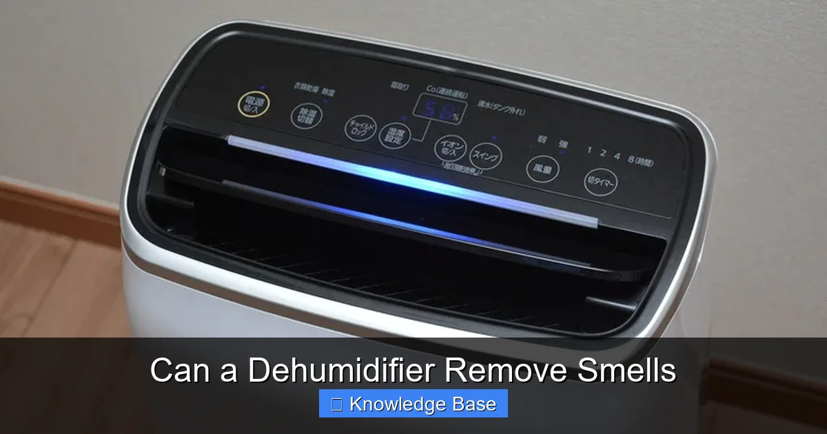 Can a Dehumidifier Remove Smells