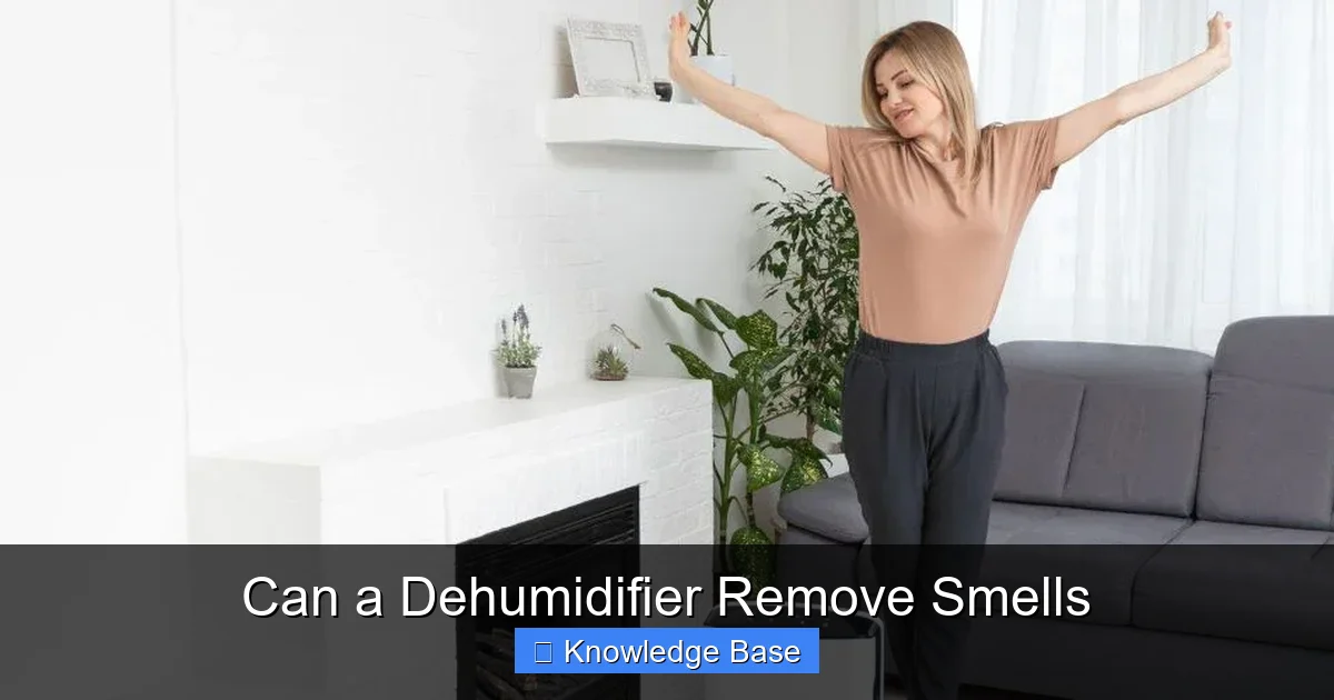 Can a Dehumidifier Remove Smells