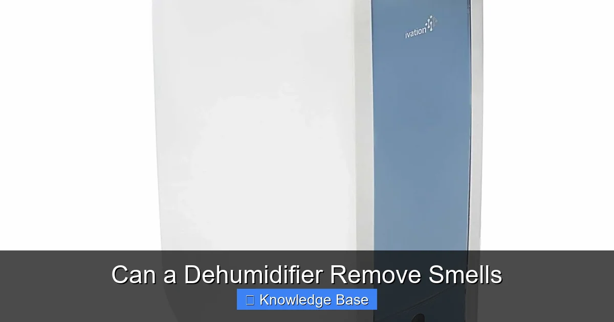 Can a Dehumidifier Remove Smells
