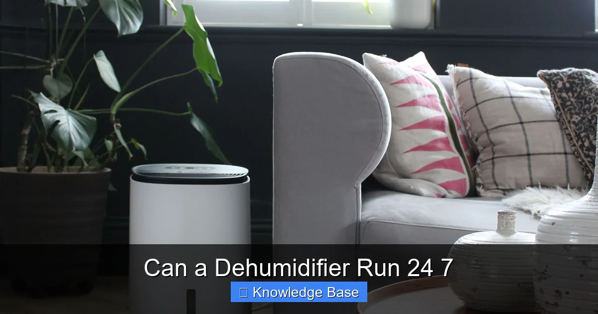 Can a Dehumidifier Run 24 7