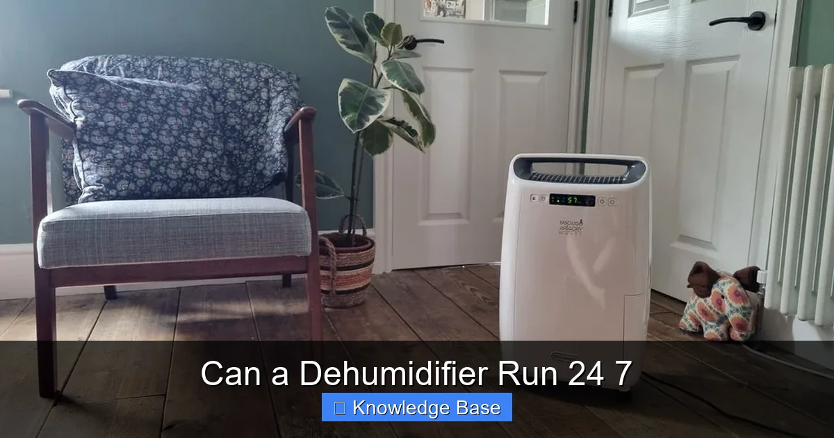 Can a Dehumidifier Run 24 7
